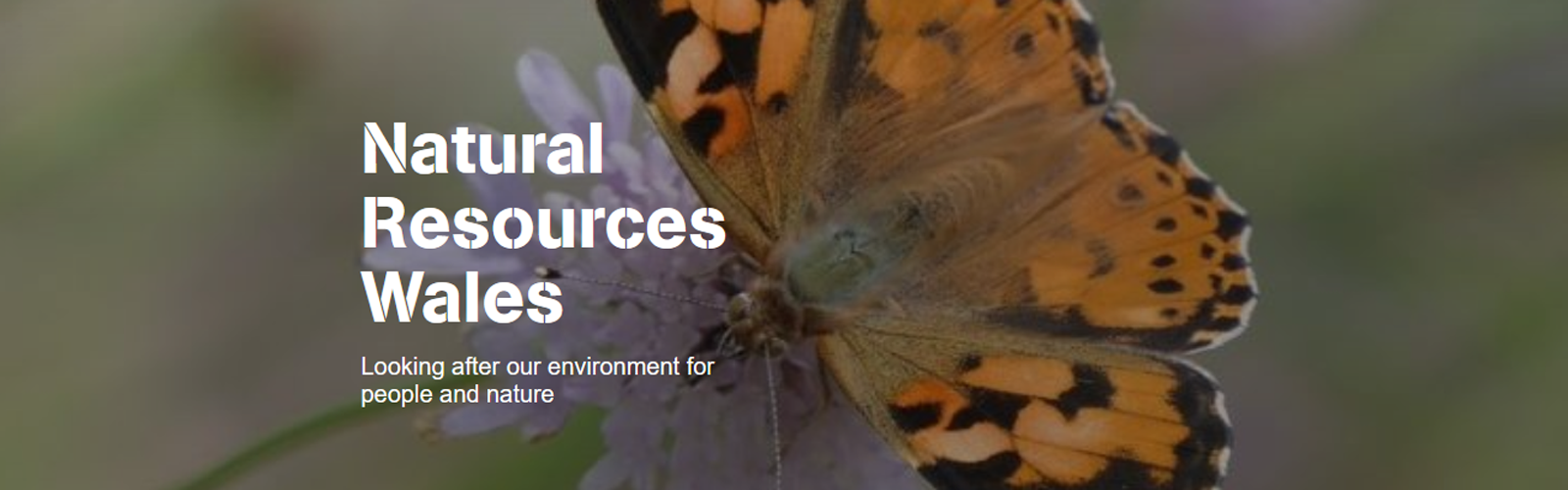 Natural Resources Wales - Landmap